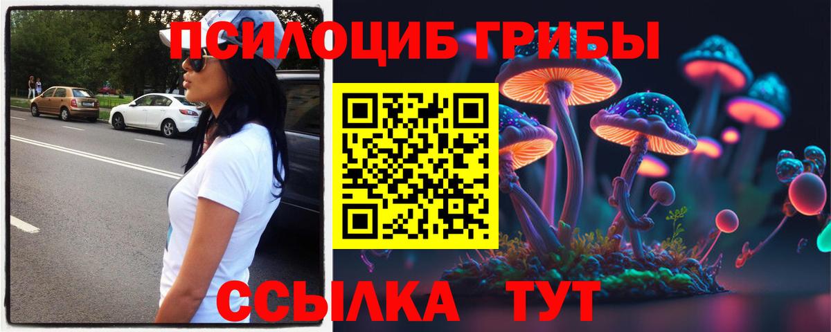 Ивантеевка  Псилоцибиновые грибы MAGIC MUSHROOMS  Вход с VPN  Галлюциногенные грибы мицелий 